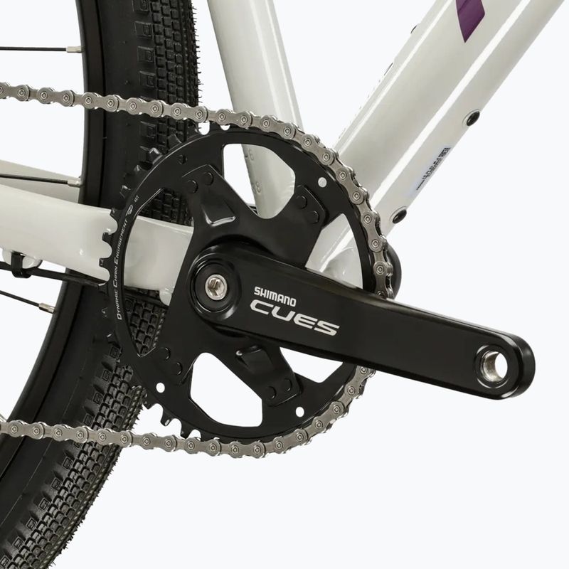 Gravelbike KROSS Esker 1.0 FL grey/purple/gloss 9