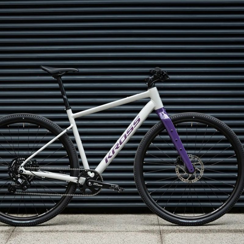 Gravelbike KROSS Esker 1.0 FL grey/purple/gloss 13