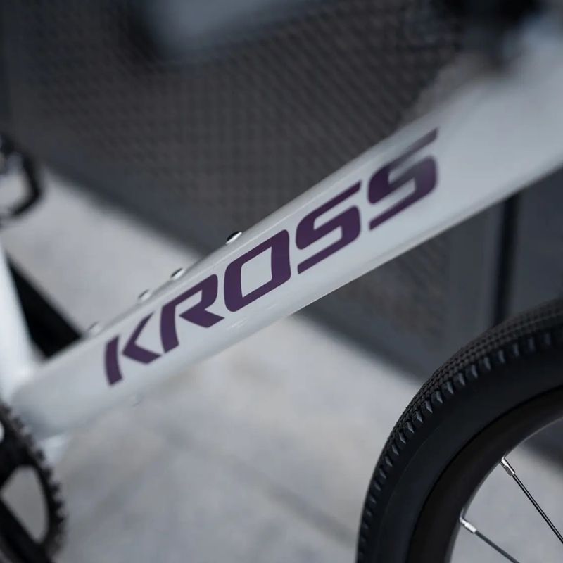 Gravelbike KROSS Esker 1.0 FL grey/purple/gloss 14