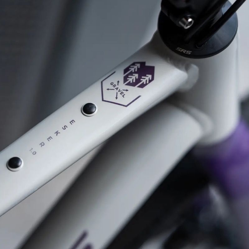 Gravelbike KROSS Esker 1.0 FL grey/purple/gloss 15