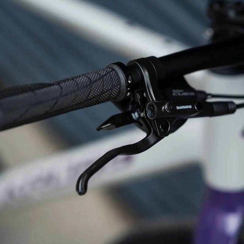 Gravelbike KROSS Esker 1.0 FL grey/purple/gloss 16