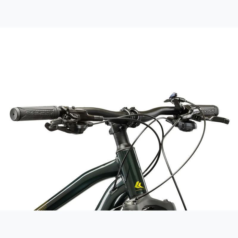 Mountainbike KROSS Hexagon 5.0 29" green/green/gloss 4