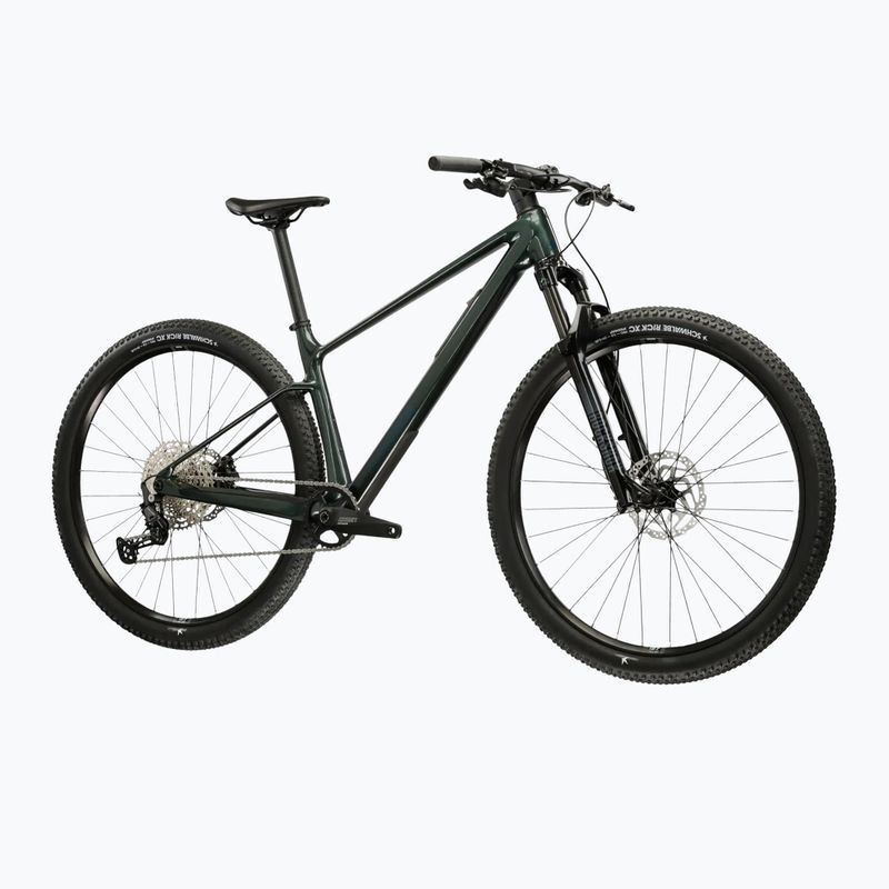 Mountainbike KROSS Level RS 1.0 green/chameleon/gloss 2