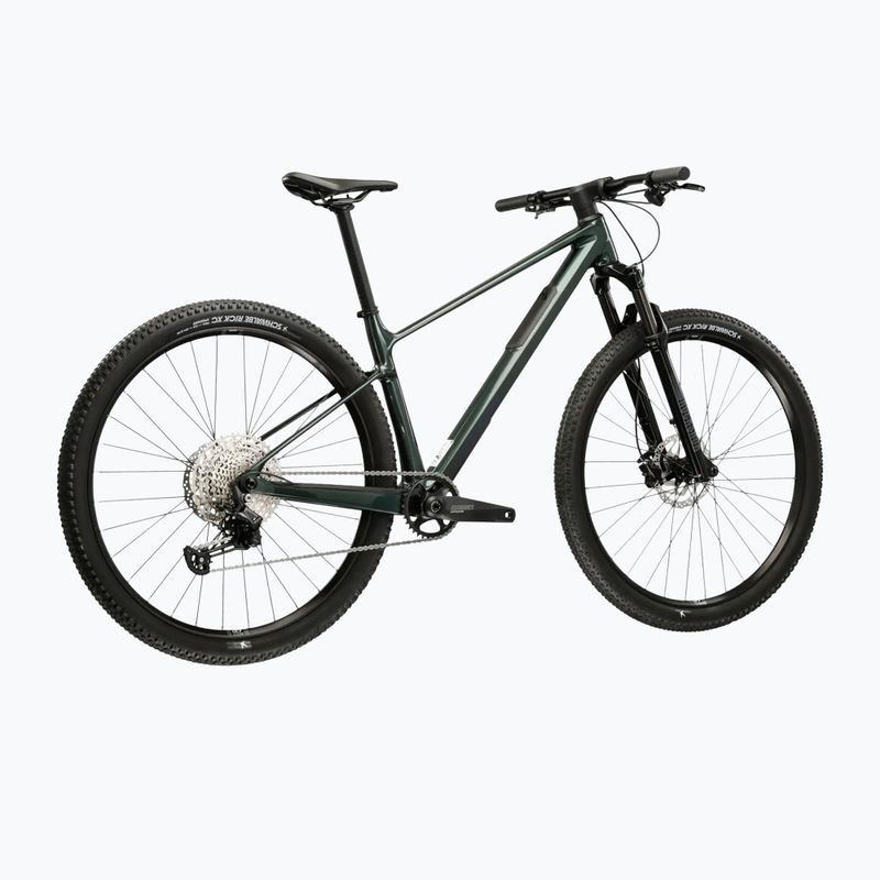 Mountainbike KROSS Level RS 1.0 green/chameleon/gloss 3