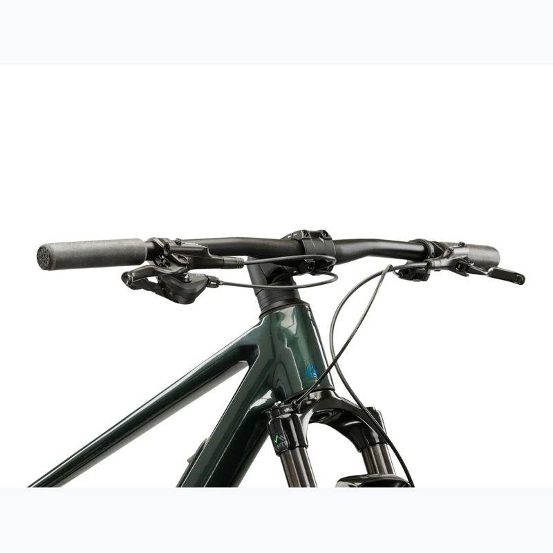 Mountainbike KROSS Level RS 1.0 green/chameleon/gloss 4