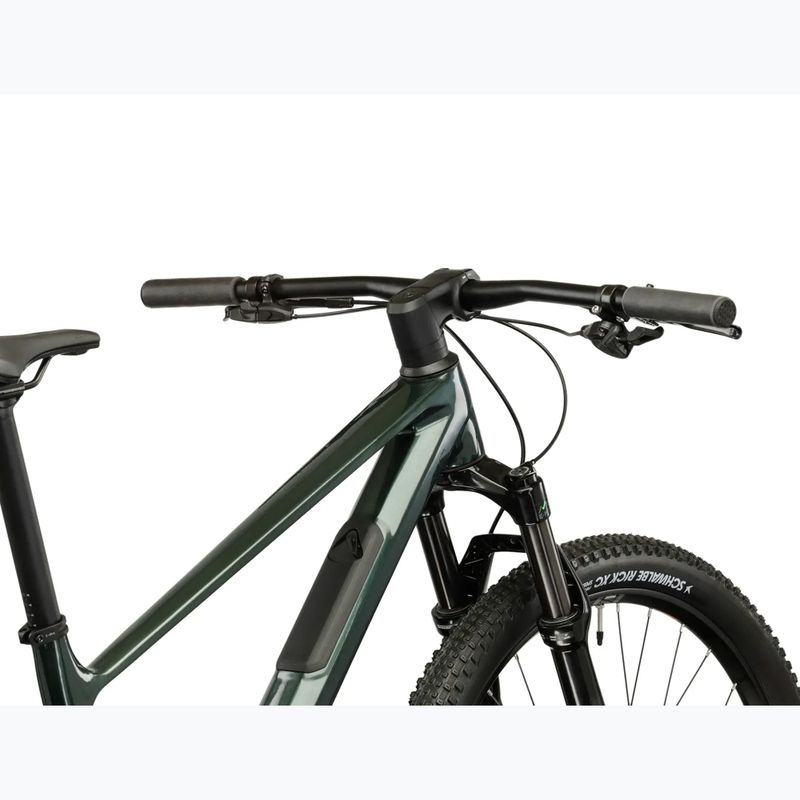 Mountainbike KROSS Level RS 1.0 green/chameleon/gloss 10