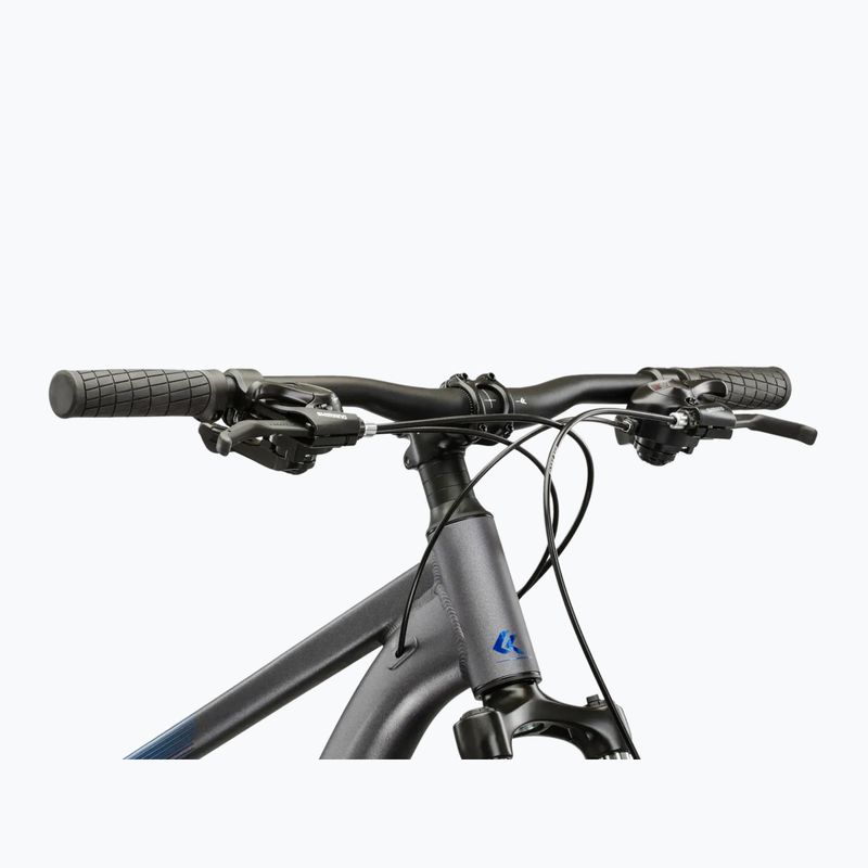 Mountainbike KROSS Hexagon X200 29" Grau/Blau/Matt 4