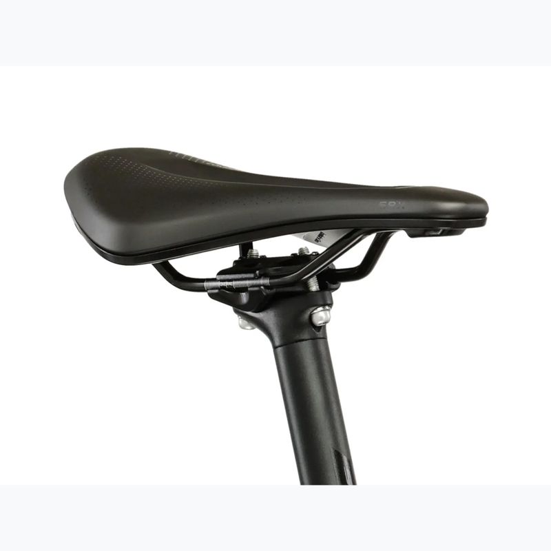 Gravelbike KROSS Esker 6.0 chameleon/matte/gloss 12