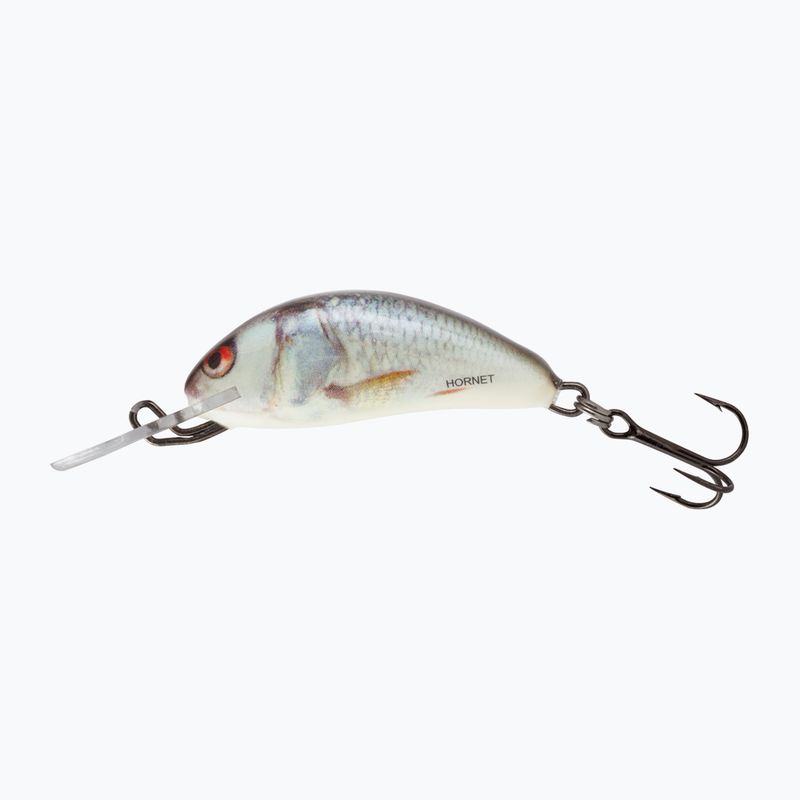Salmo Hornet FL echter Forellenwobbler QHT016