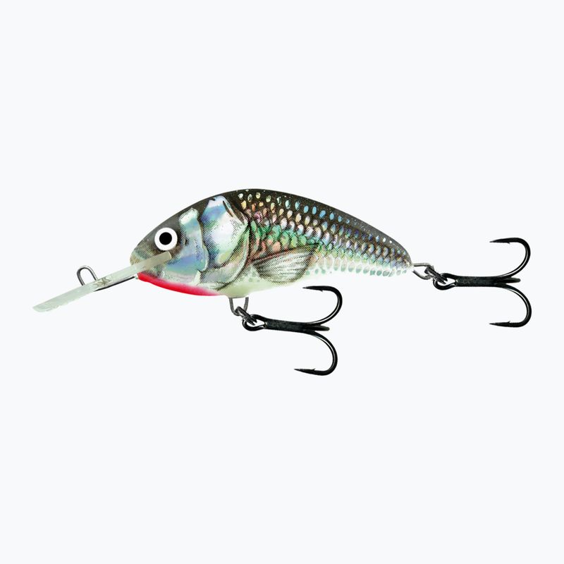 Salmo Hornet FL holographischer grauer Shiner QHT077 Wobbler