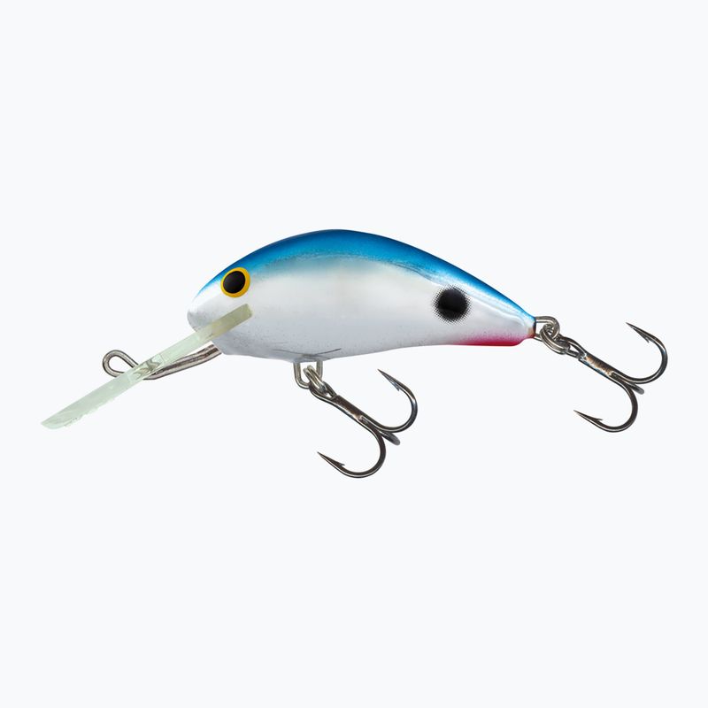 Salmo Hornet FL Rotschwanz-Shiner QHT085 Wobbler