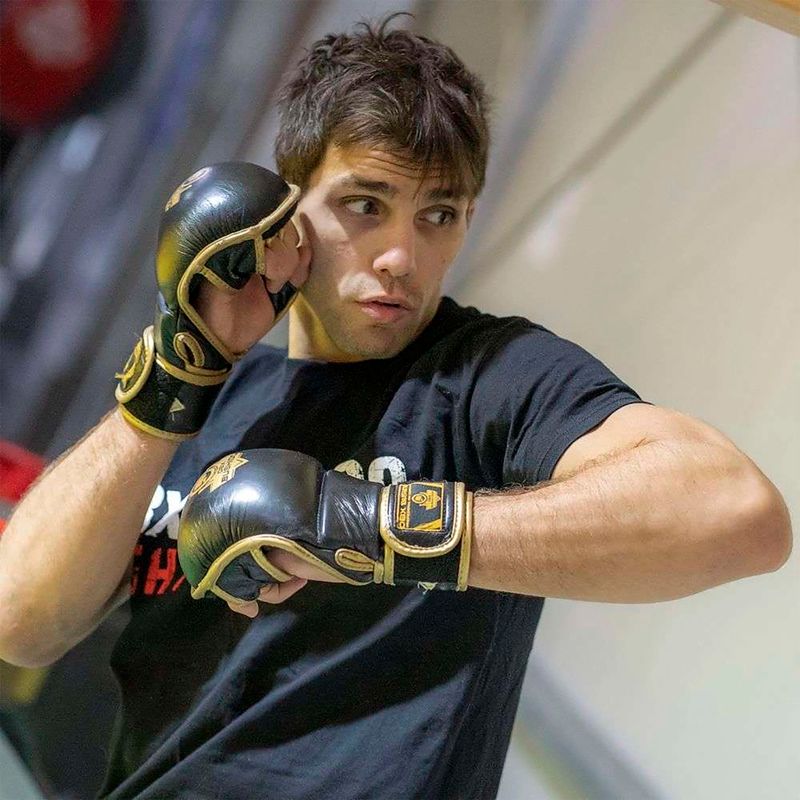 Bushido Leder MMA Training Sparring Handschuhe schwarz Arm-2011D-L
