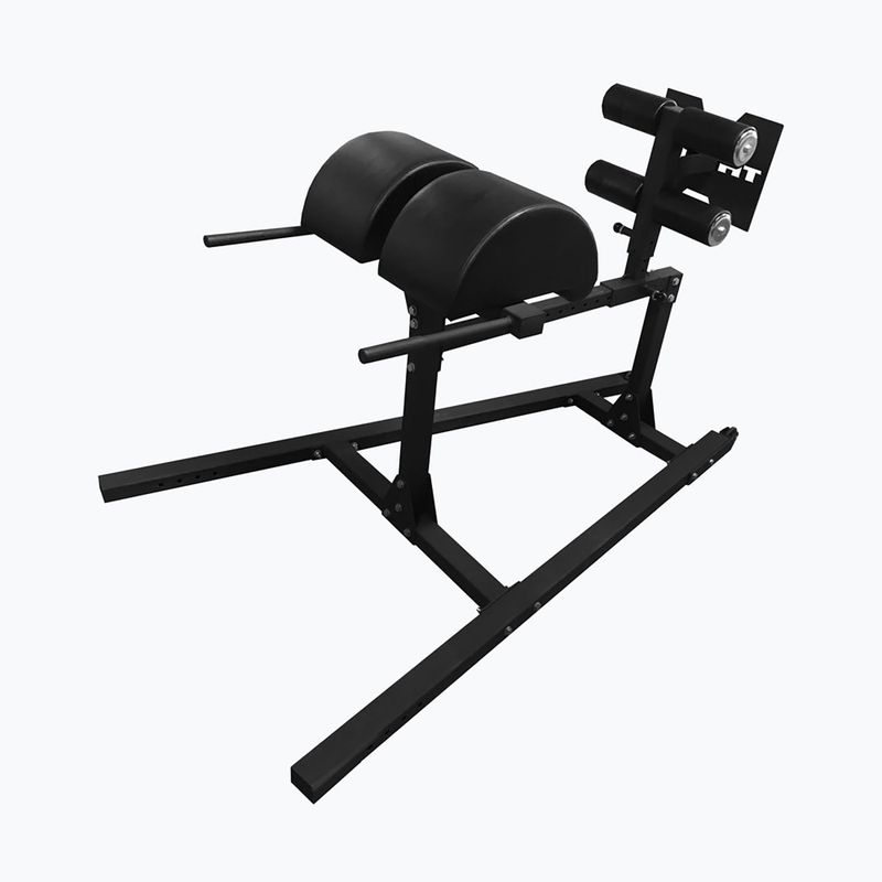 Bizeps-Trainingsgerät THORN FIT GHD-1 gym black 2