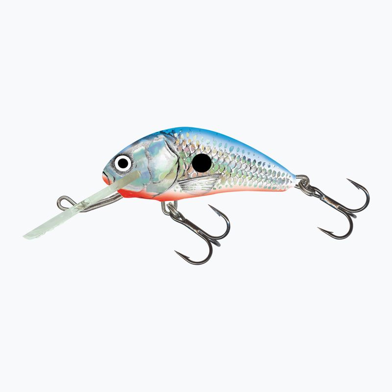 Salmo Hornet FL silber blauer Maifisch Wobbler QHT084