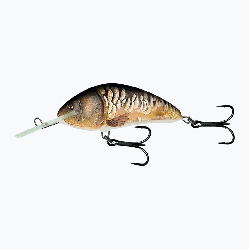 Salmo Hornet FL supernatural Spiegelkarpfen Wobbler QHT859