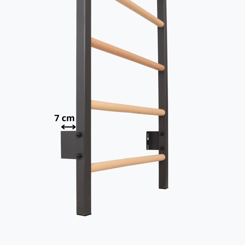 Turnleiter RINAGYM Steel 1 graphit 10
