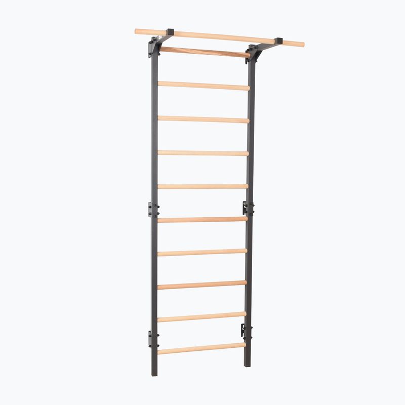 Turnleiter RINAGYM Steel Pure graphit 2