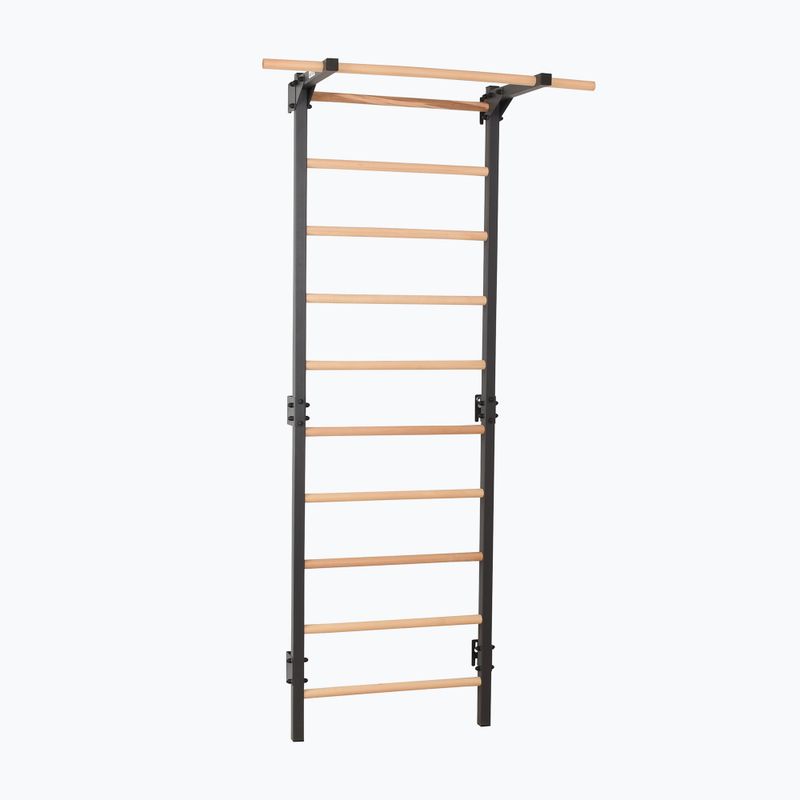 Turnleiter RINAGYM Steel Pure graphit 3