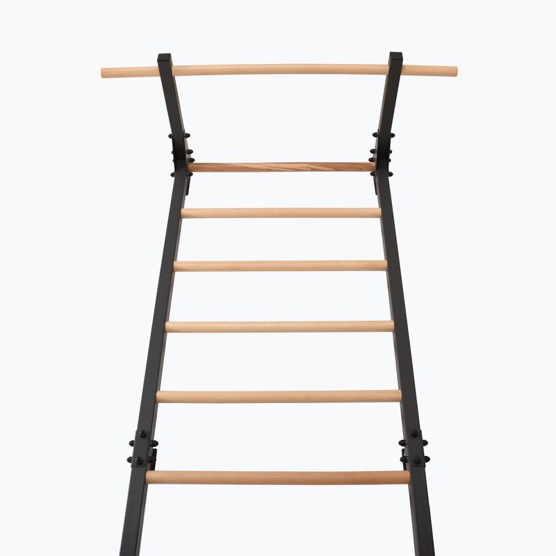 Turnleiter RINAGYM Steel Pure graphit 4