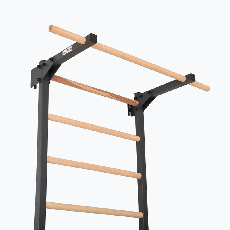Turnleiter RINAGYM Steel Pure graphit 5