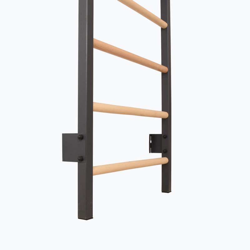 Turnleiter RINAGYM Steel Pure graphit 9