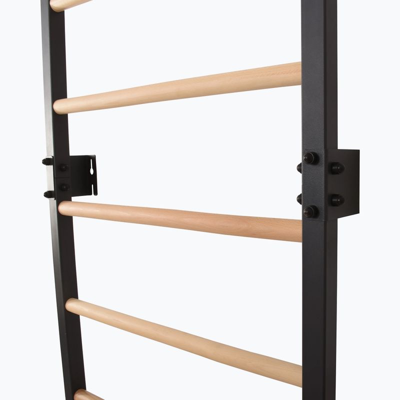 Turnleiter RINAGYM Steel Pure graphit 10