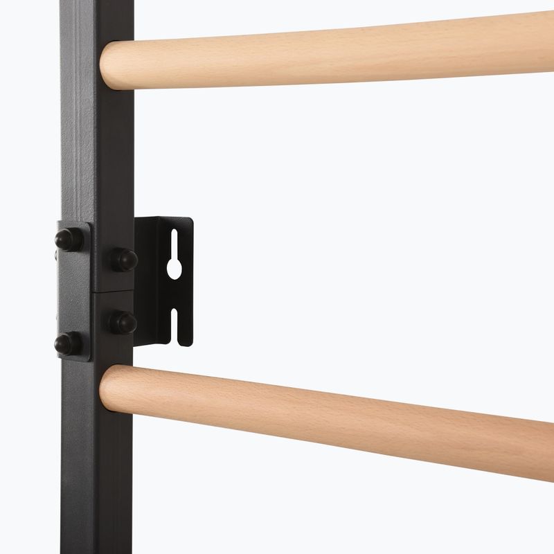 Turnleiter RINAGYM Steel Pure graphit 11
