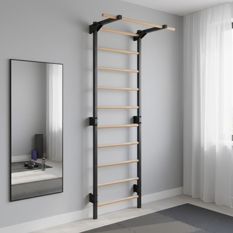 Turnleiter RINAGYM Steel Pure graphit 14