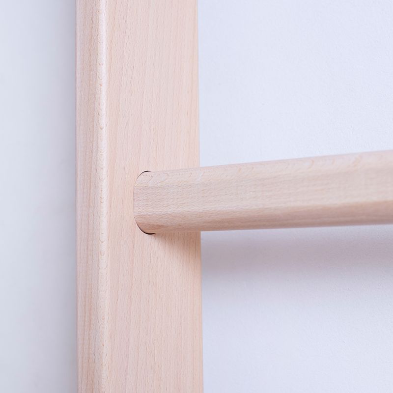 BenchK Bronze-Gymnastikleiter BK-111 4