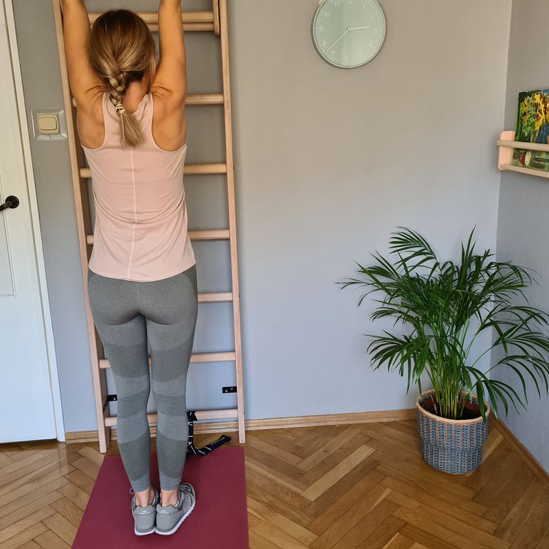 BenchK Bronze-Gymnastikleiter BK-111 7