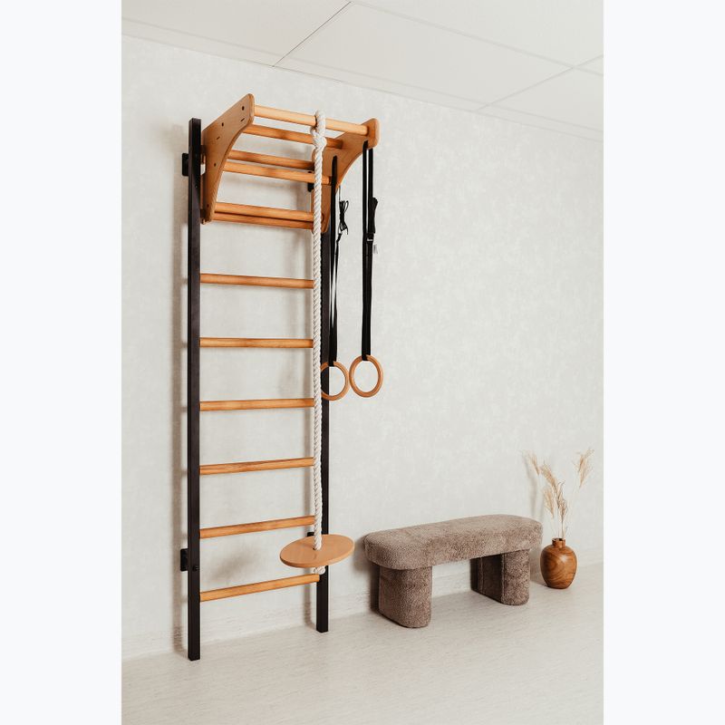 BenchK Gymnastikleiter schwarz BK-211B+A076 15