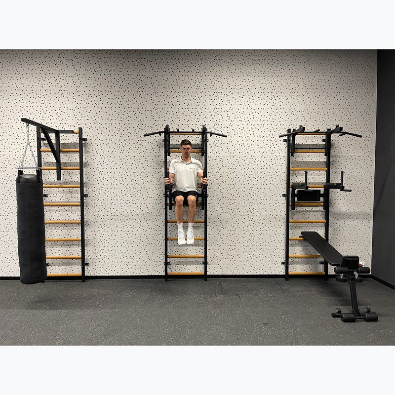 BenchK Gymnastikleiter schwarz BK-732B 14