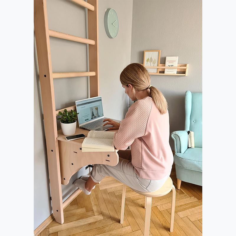 BenchK Bronze-Gymnastikleiter BK-112 8