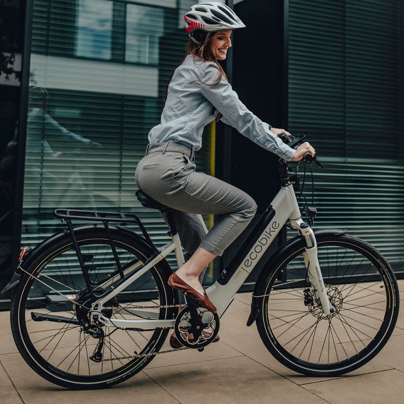 Ecobike X-Cross L/17.5Ah LG Elektrofahrrad weiß 1010301 20