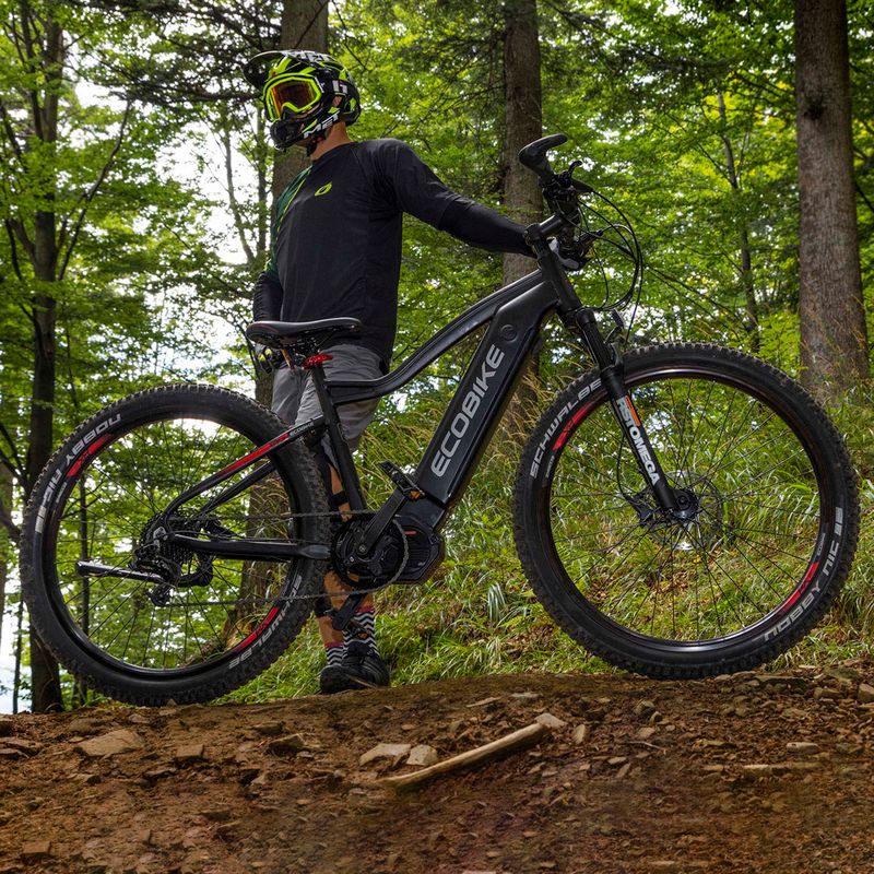 Ecobike RX500 17.5Ah LG Elektrofahrrad schwarz 1010406 19