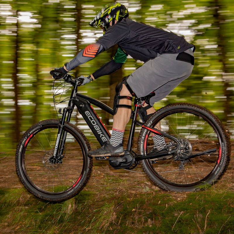 Ecobike RX500 17.5Ah LG Elektrofahrrad schwarz 1010406 22