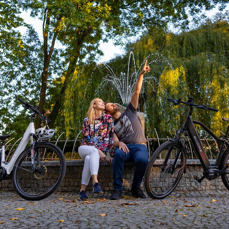 Ecobike MX300 LG Elektrofahrrad schwarz 1010307 18
