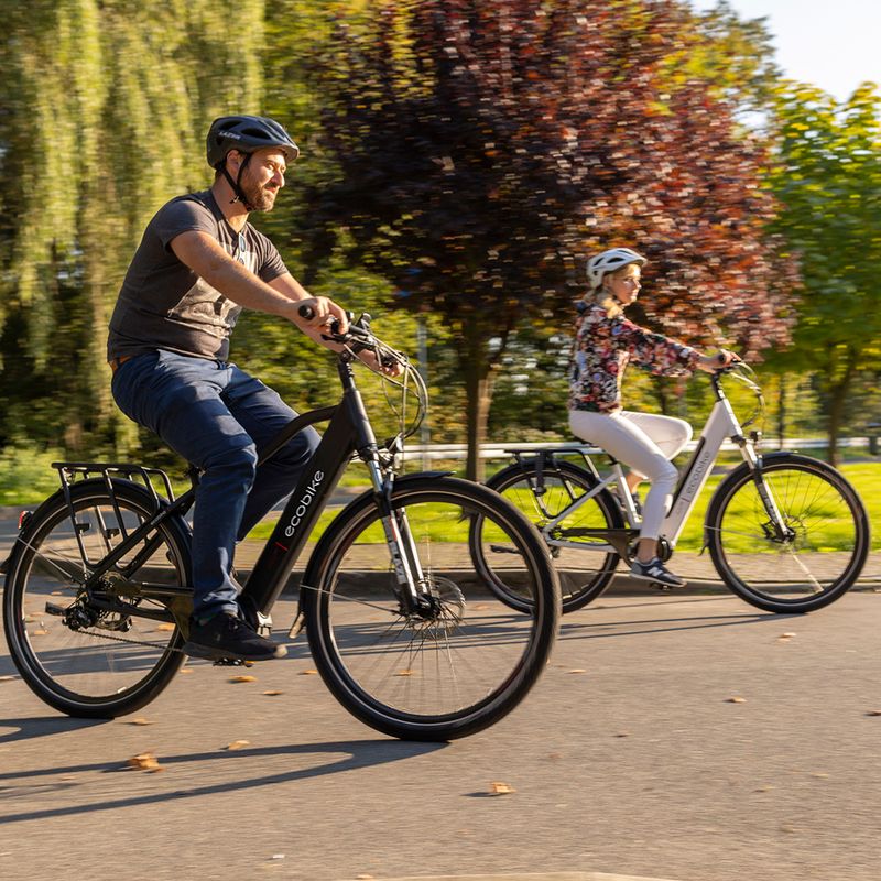 Ecobike MX300 LG Elektrofahrrad schwarz 1010307 20