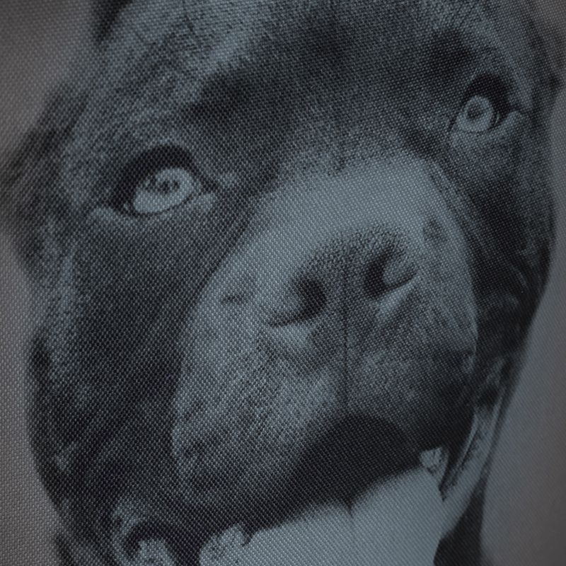 Rucksack für Männer Pitbull West Coast Pitbull Ir black/grey 12
