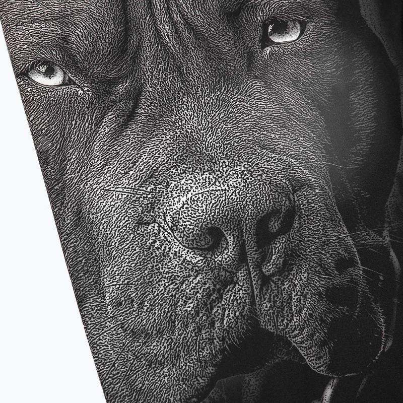 Leggings für Männer Pitbull West Coast Born in 1989 black 3