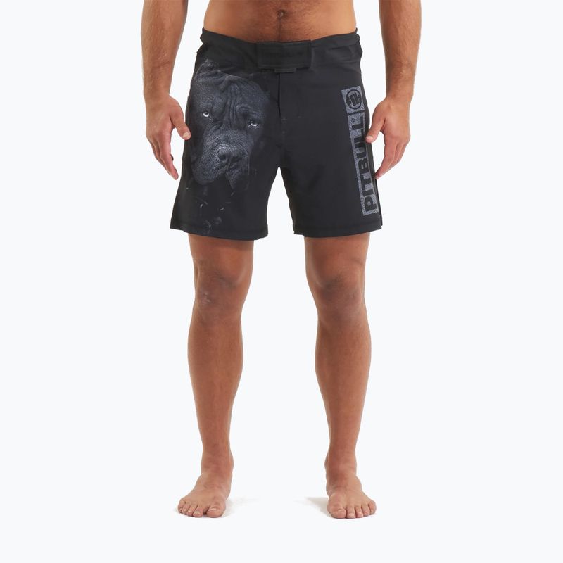 Grappling-Shorts für Männer Pitbull West Coast Grappling 3 Born in 1989 black