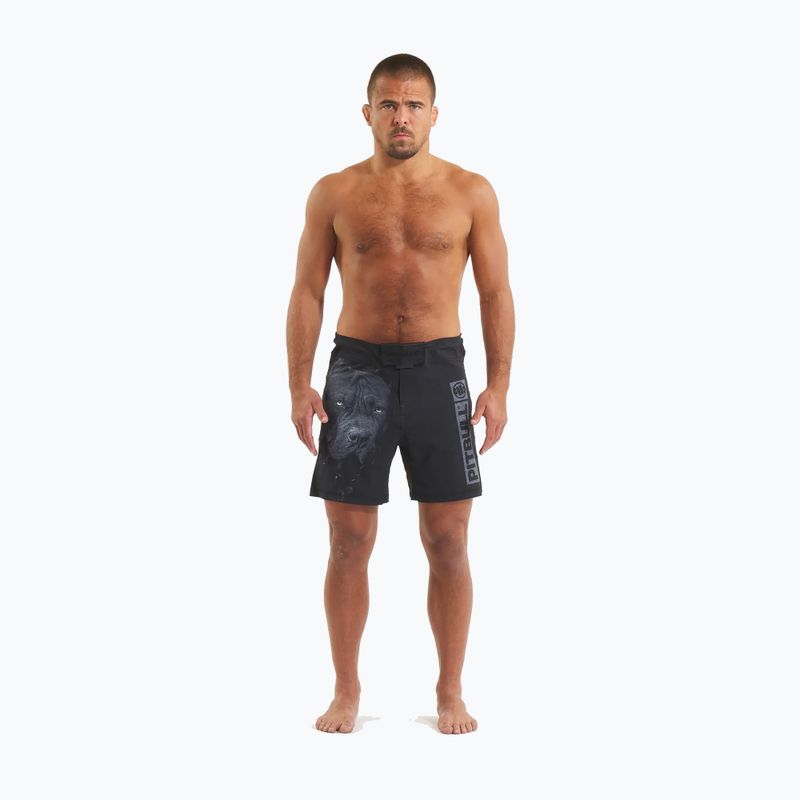 Grappling-Shorts für Männer Pitbull West Coast Grappling 3 Born in 1989 black 2