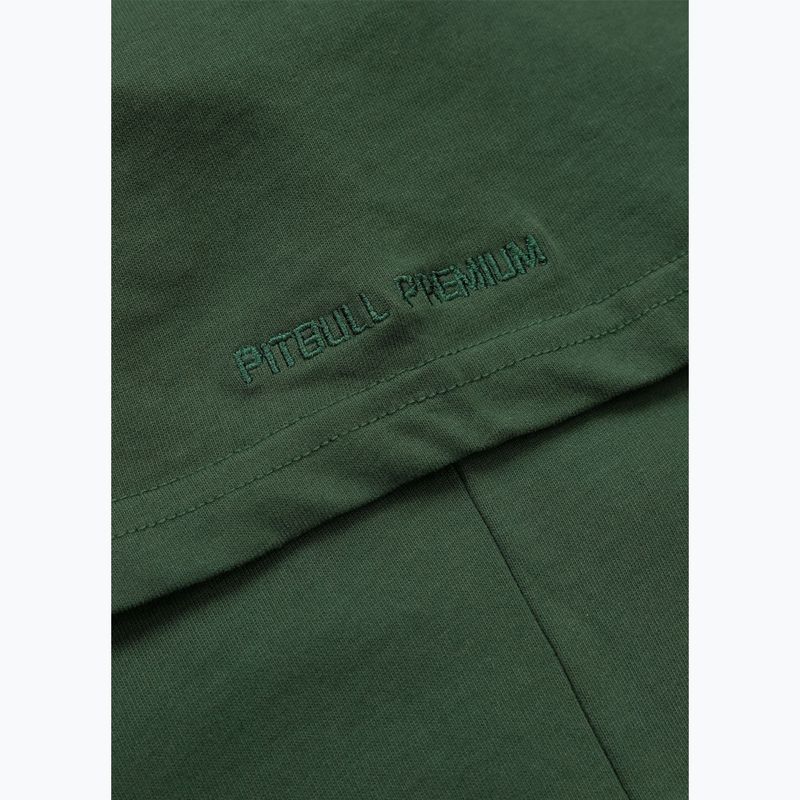 Shirt Herren Pitbull Scratch green 11