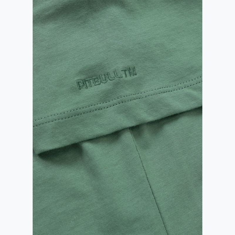 Shirt Damen Pitbull Puppy 2 mint 8
