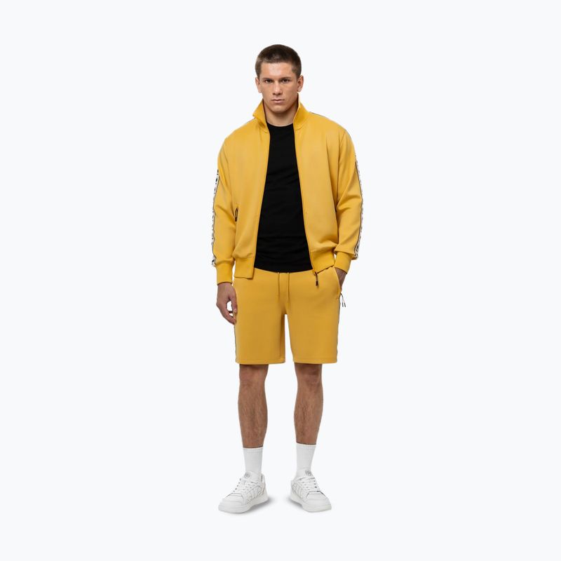 Hoodie Sweatshirt Herren Pitbull Track Jacket Powers pale yellow 2