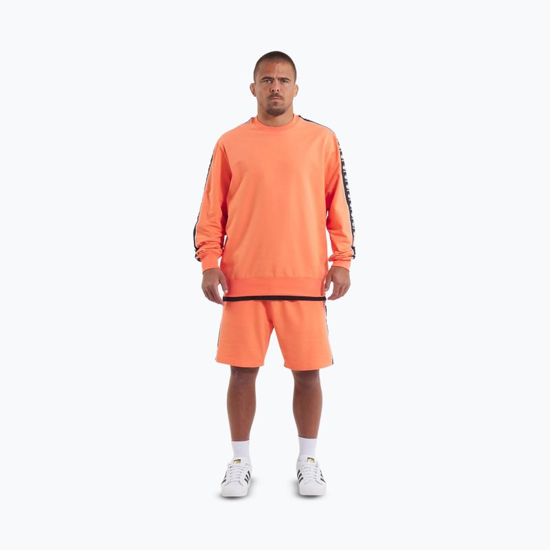 Hoodie Sweatshirt Herren Pitbull Tape Nugget Crewneck Sweatshirt bright salmon 2