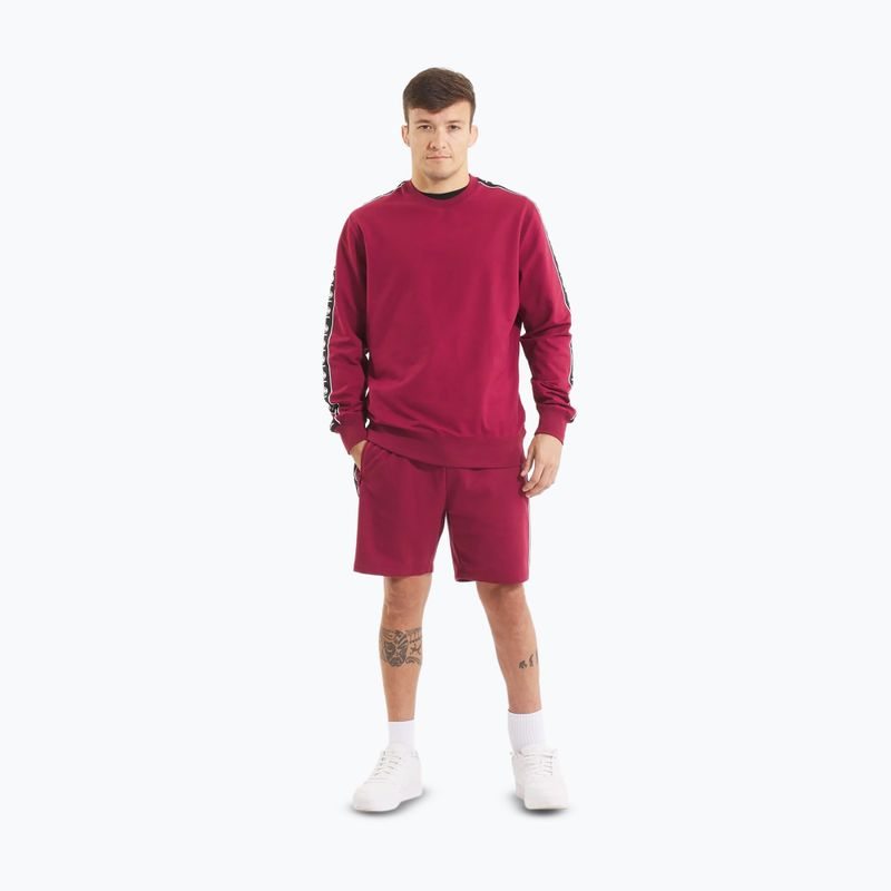 Hoodie Sweatshirt Herren Pitbull Tape Nugget Crewneck Sweatshirt burgundy 2