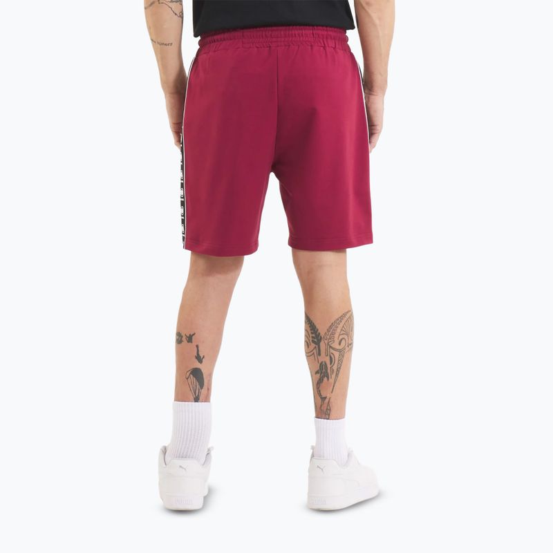 Shorts Herren Pitbull Tape Nugget burgundy 3