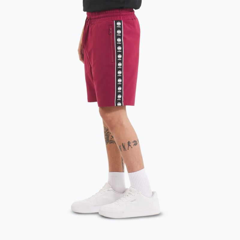Shorts Herren Pitbull Tape Nugget burgundy 4