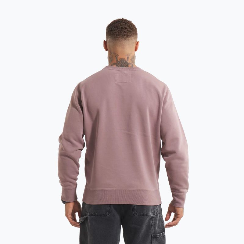 Hoodie Sweatshirt Herren Pitbull Lancaster 2 Crewneck Sweatshirt washed burgundy 3
